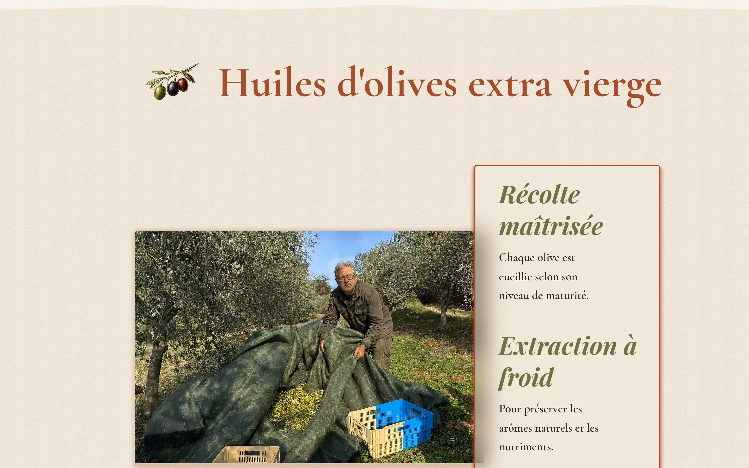 Section 5 du site Maison Soléa