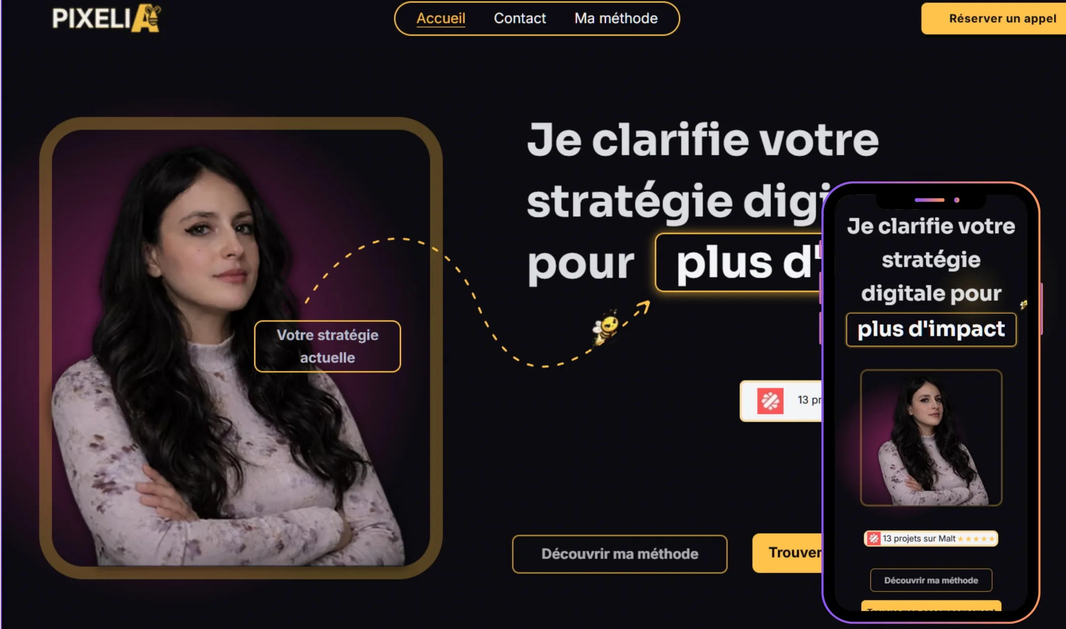 Section 1 du site Pixelia