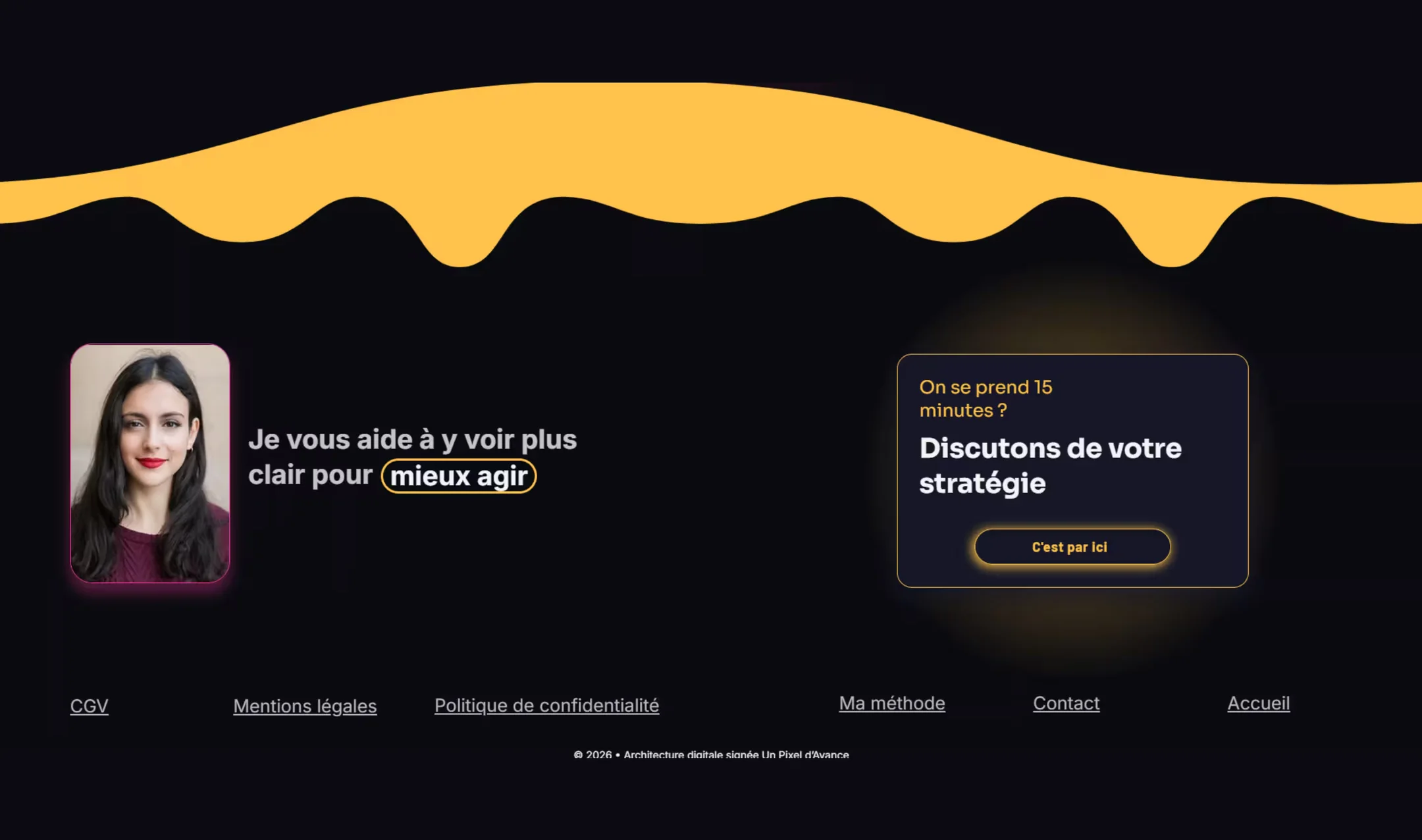 Section 6 du site Pixelia