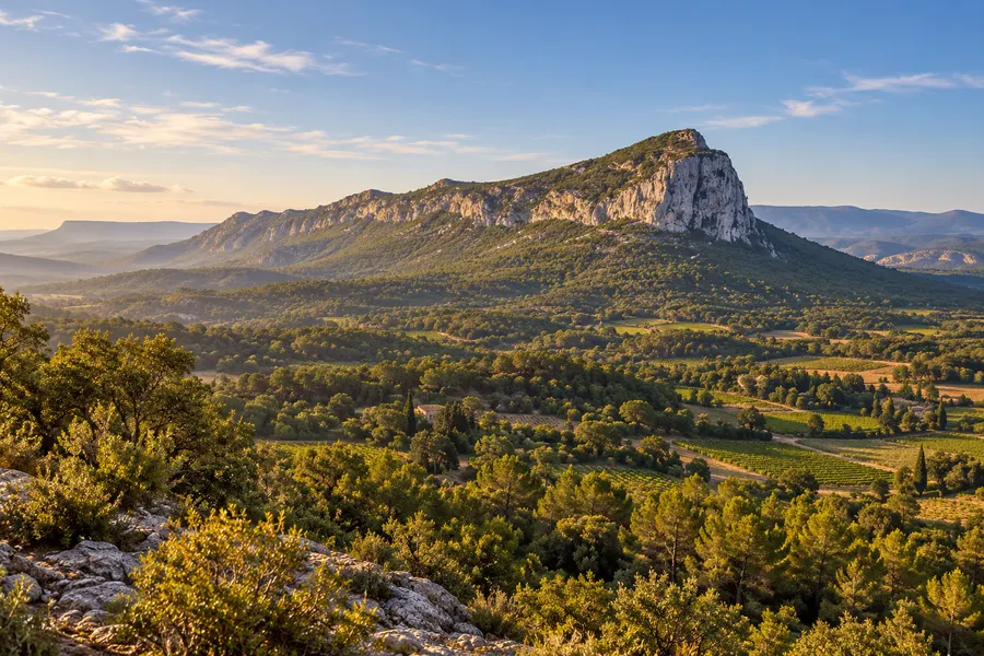 Le pic Saint-Loup et les vignes de l'arrière-pays héraultais